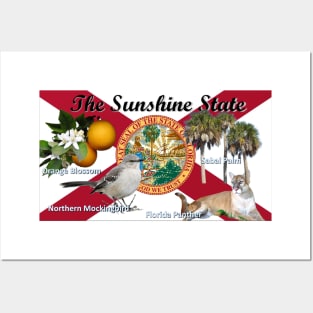 Florida State Flag and Symbols Tee Shirt Posters and Art